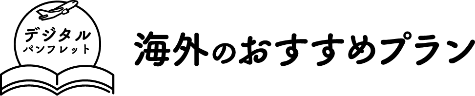 海外のおすすめプラン