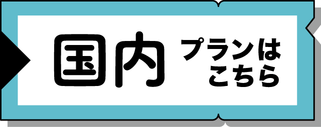 国内プラン