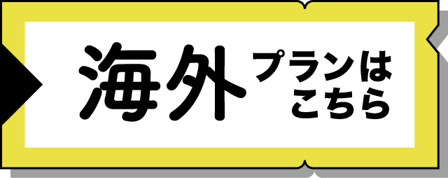 海外プラン